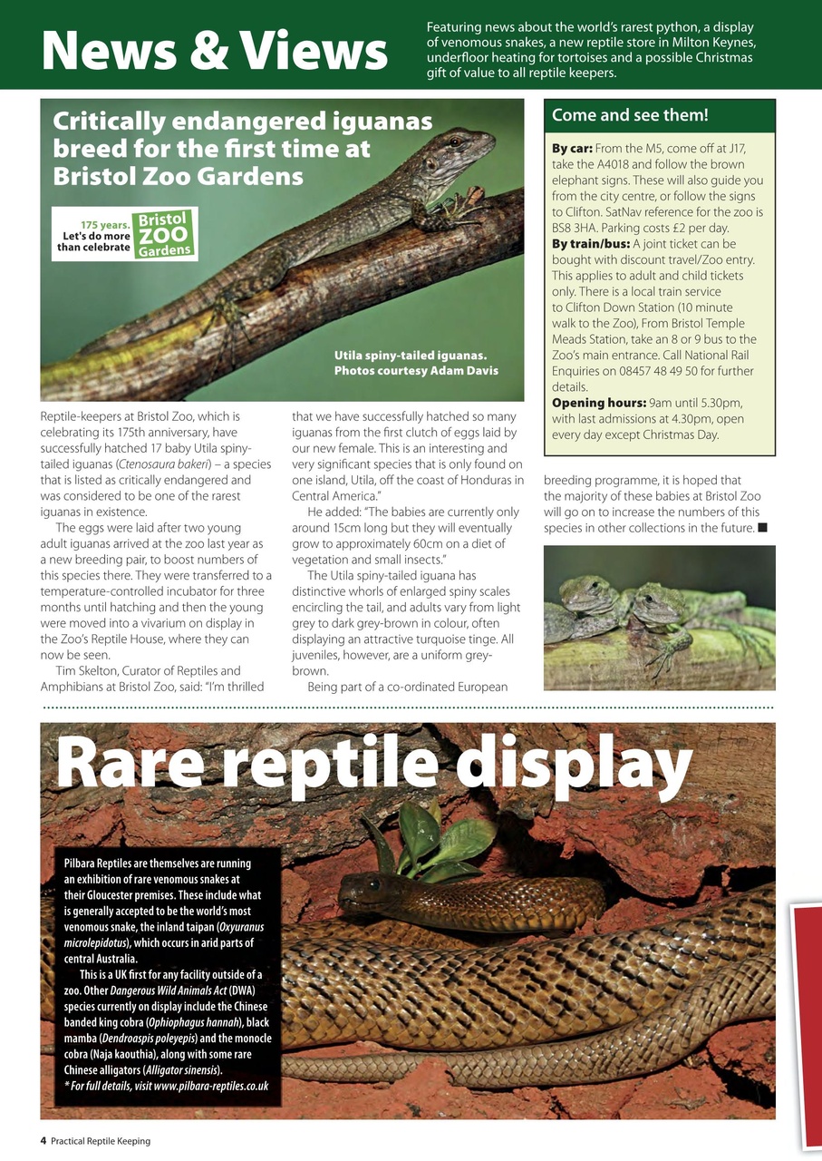 Practical Reptile Keeping Preview Pages
