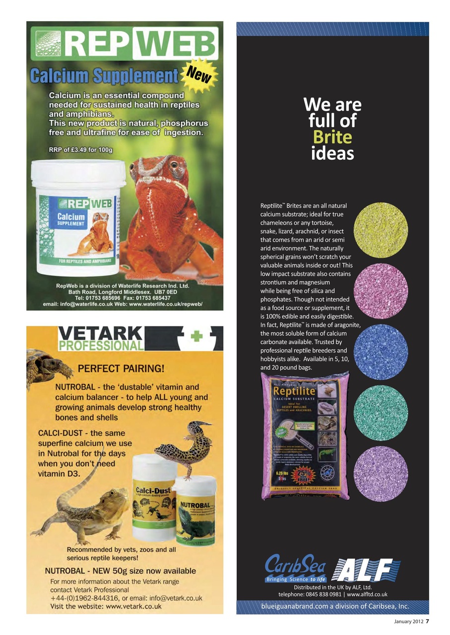 Practical Reptile Keeping Preview Pages