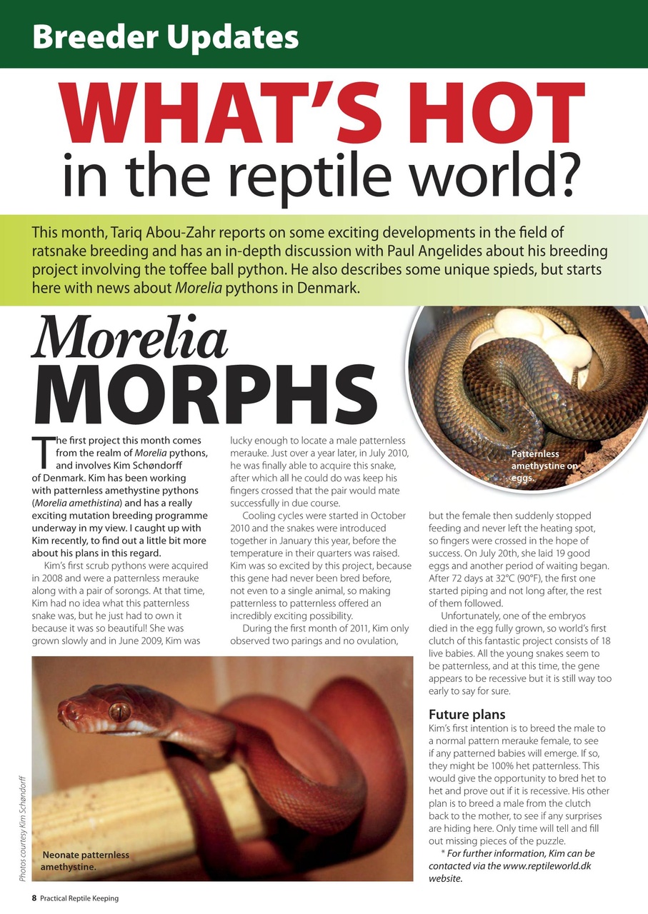 Practical Reptile Keeping Preview Pages