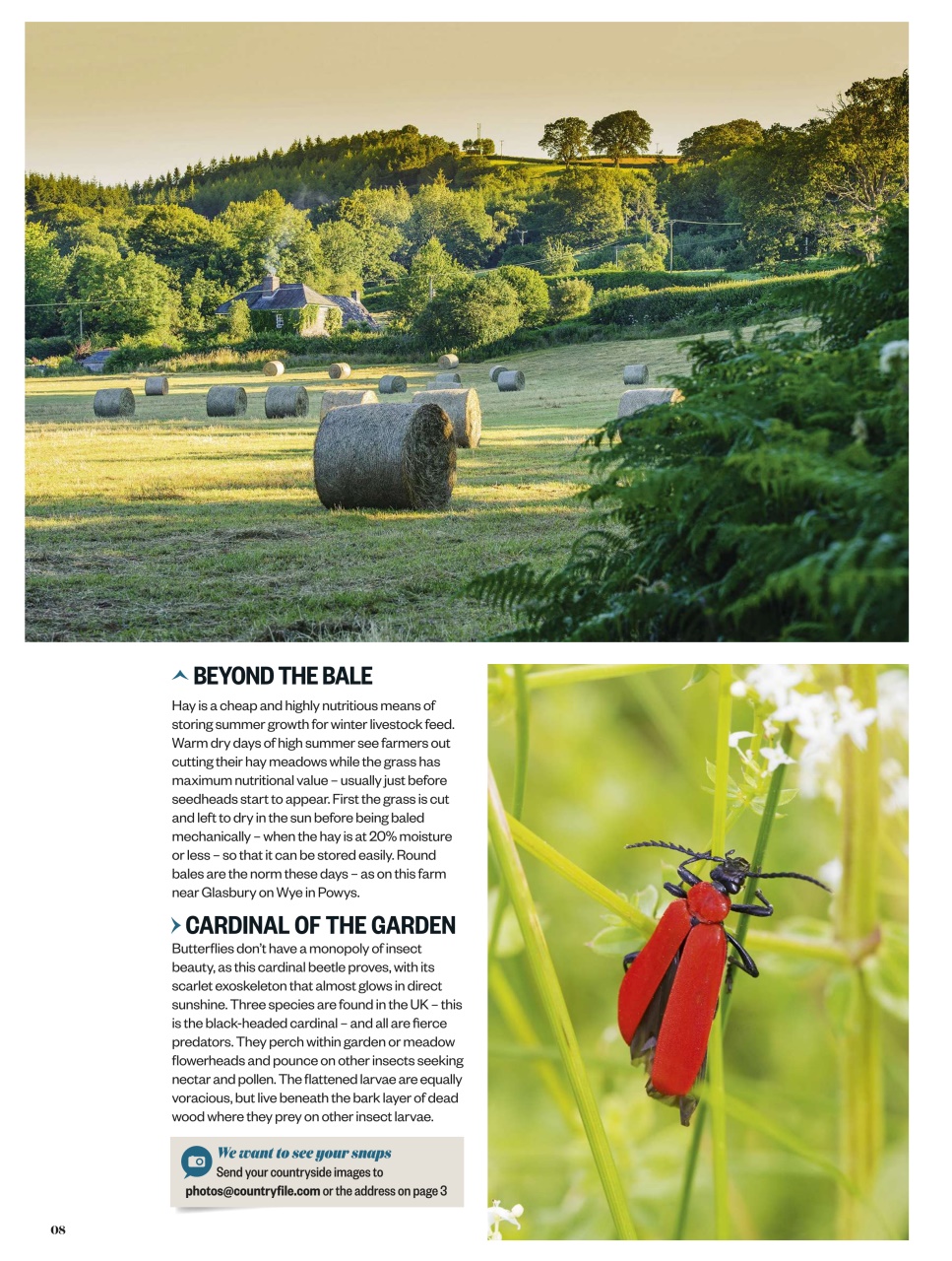 BBC Countryfile Magazine Preview Pages