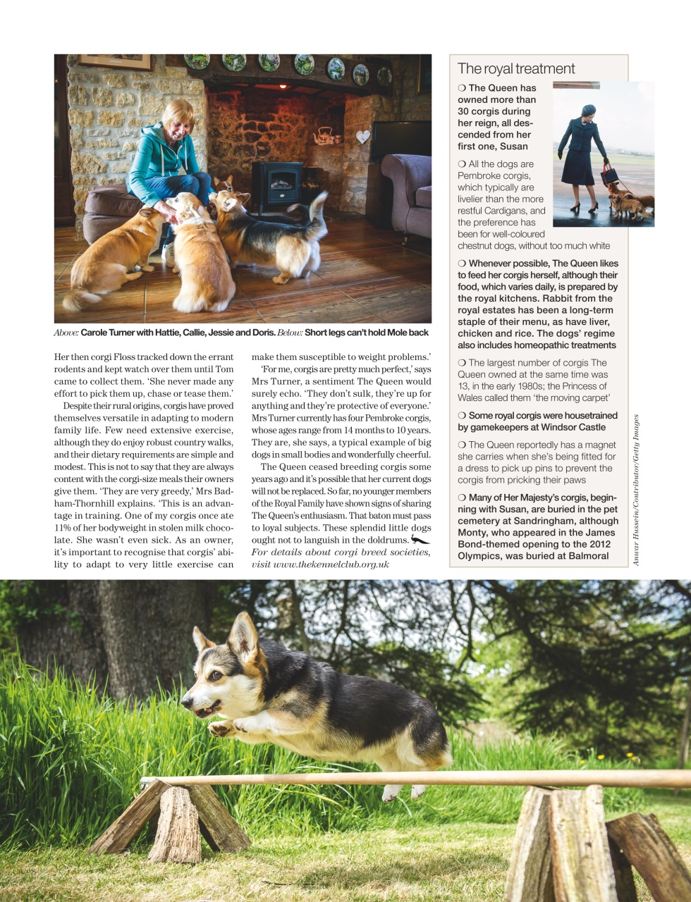Country Life Preview Pages