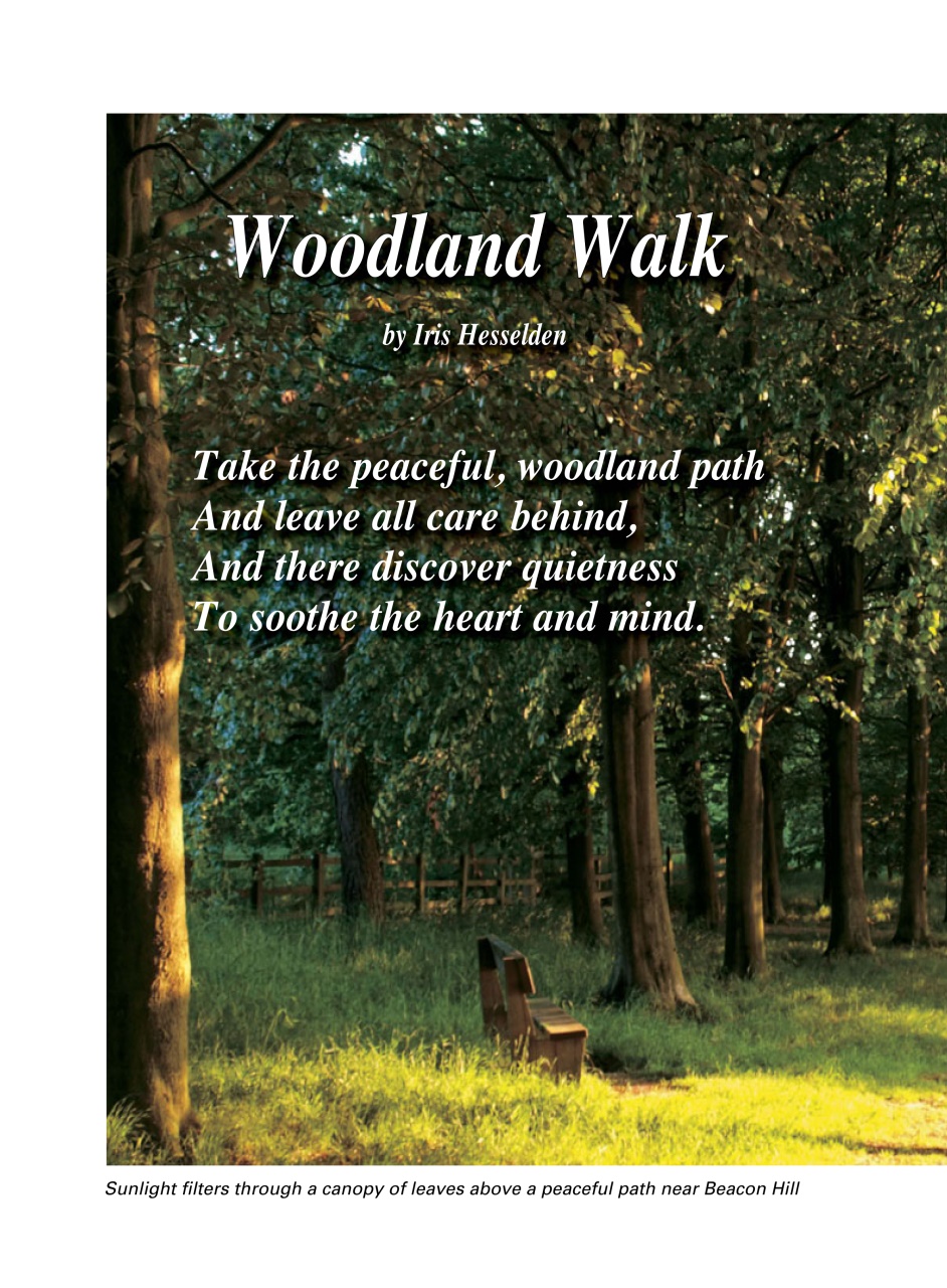 Evergreen Preview Pages