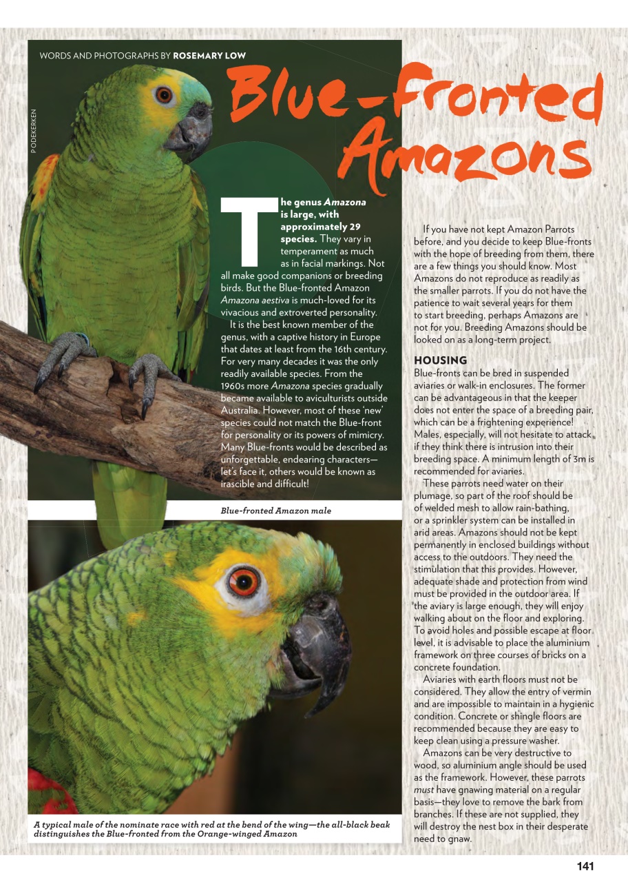 Australian Birdkeeper Magazine Preview Pages