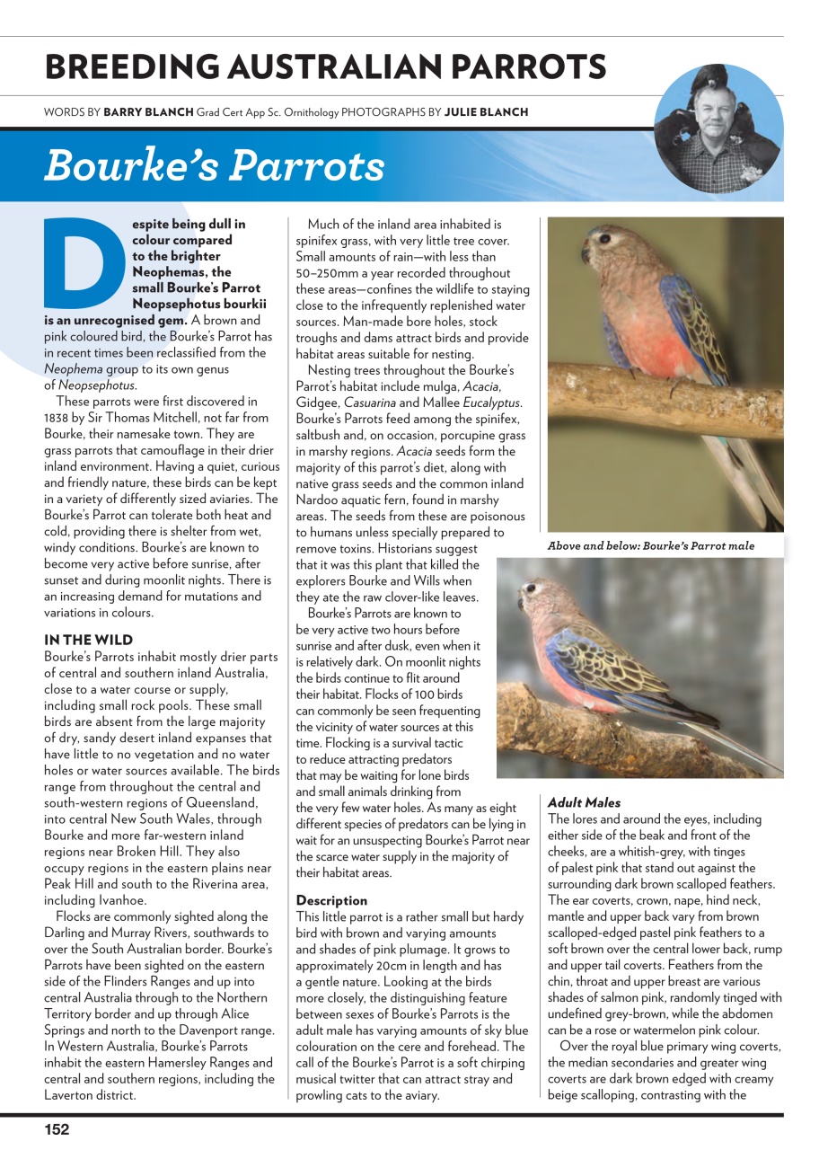 Australian Birdkeeper Magazine Preview Pages