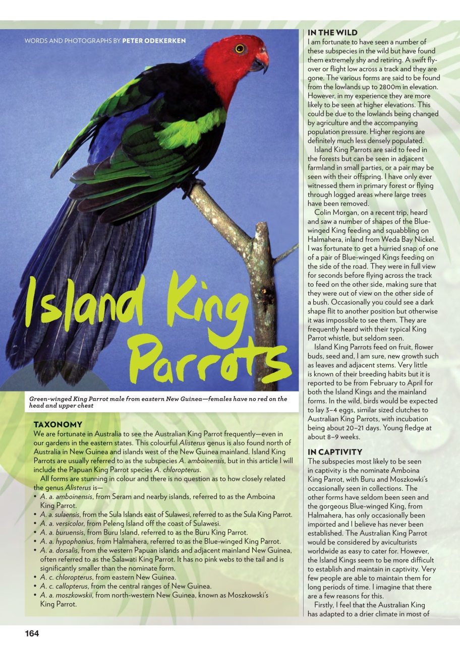 Australian Birdkeeper Magazine Preview Pages