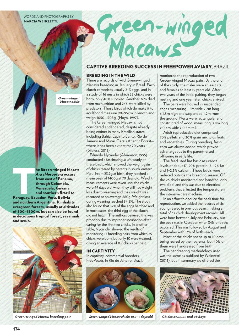 Australian Birdkeeper Magazine Preview Pages