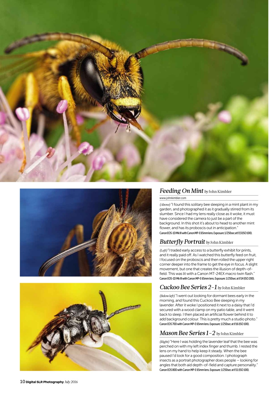 Digital SLR Photography Preview Pages