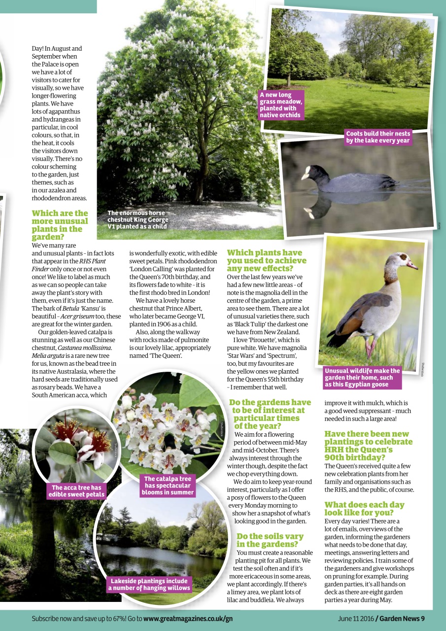 Garden News Preview Pages