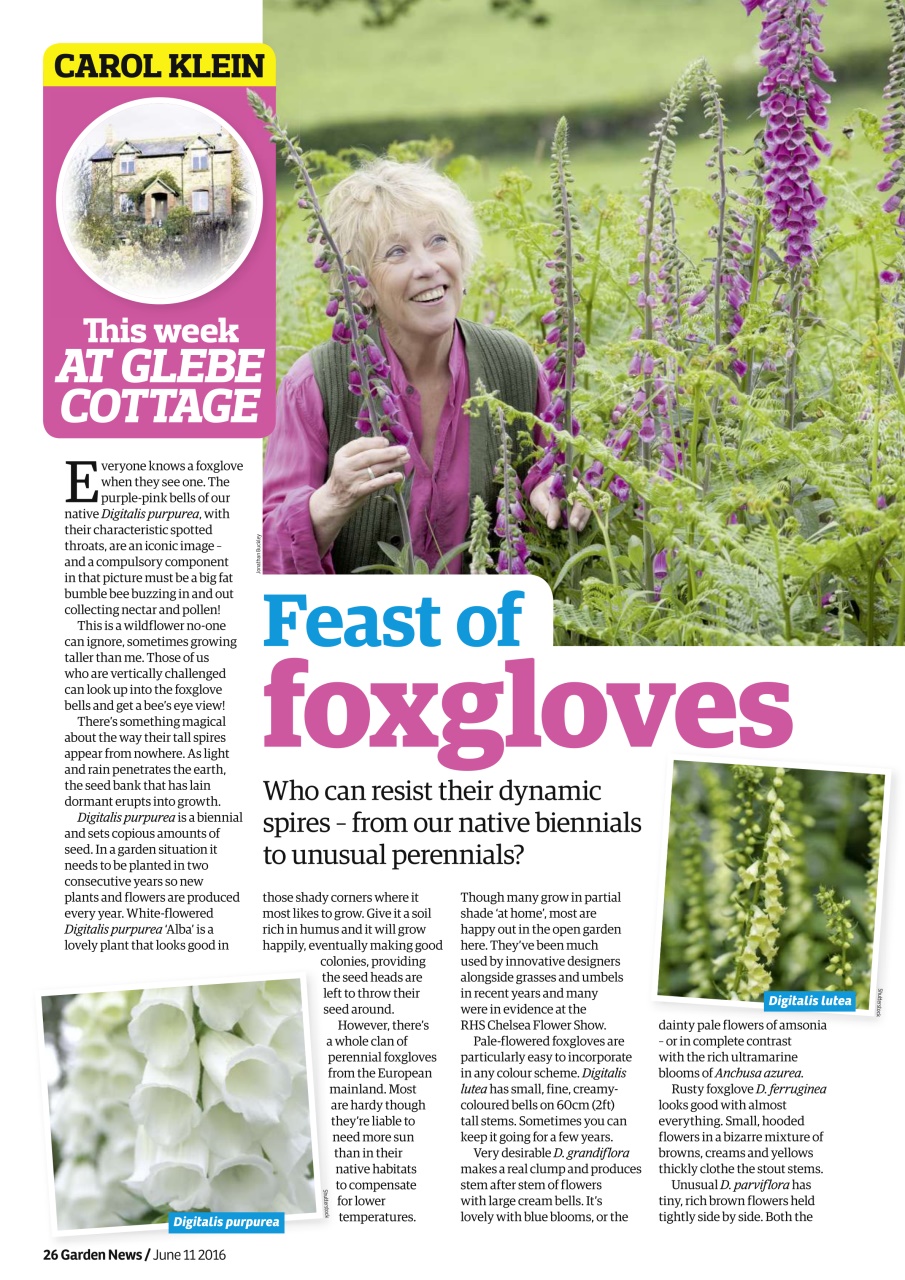 Garden News Preview Pages