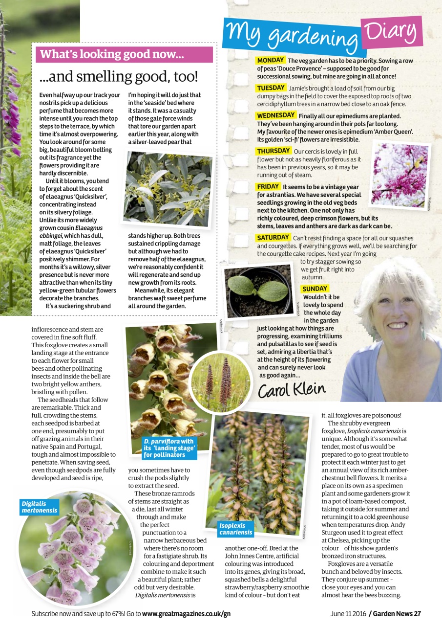 Garden News Preview Pages