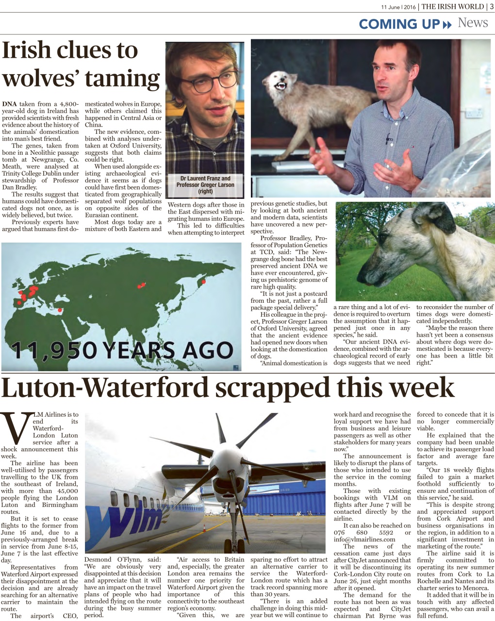 Irish World Preview Pages