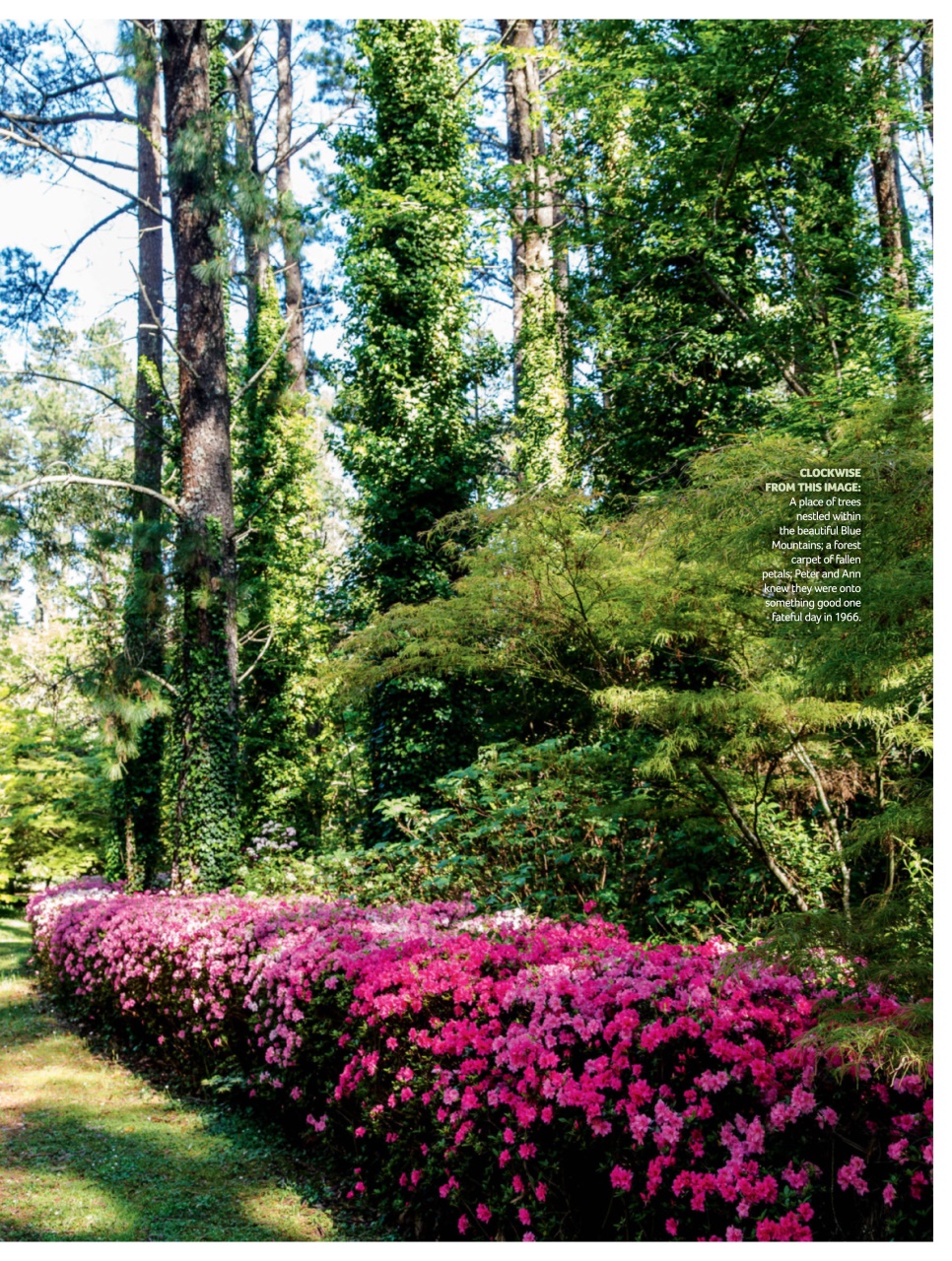 Australian Country Preview Pages