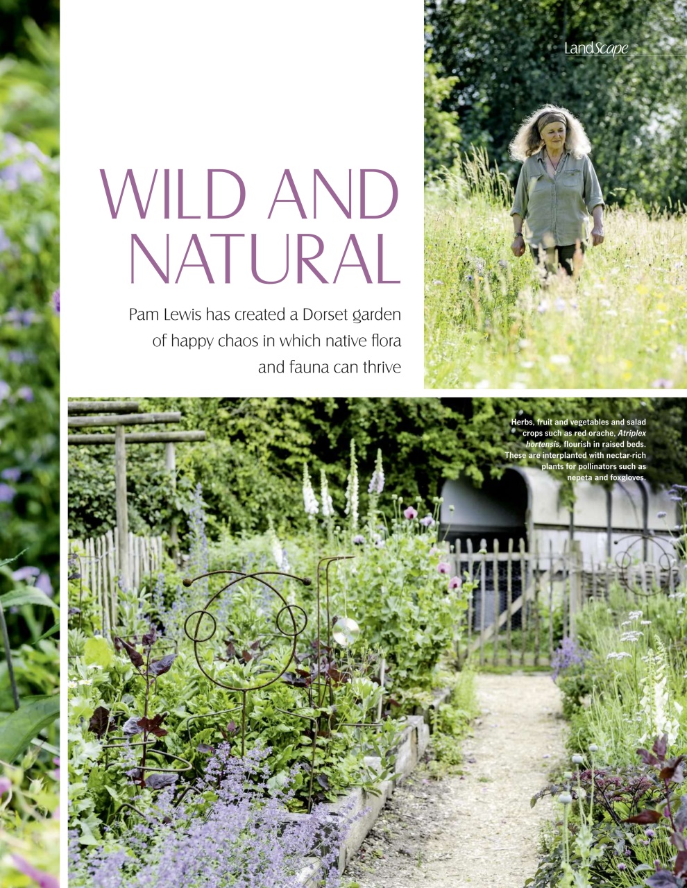 LandScape Preview Pages