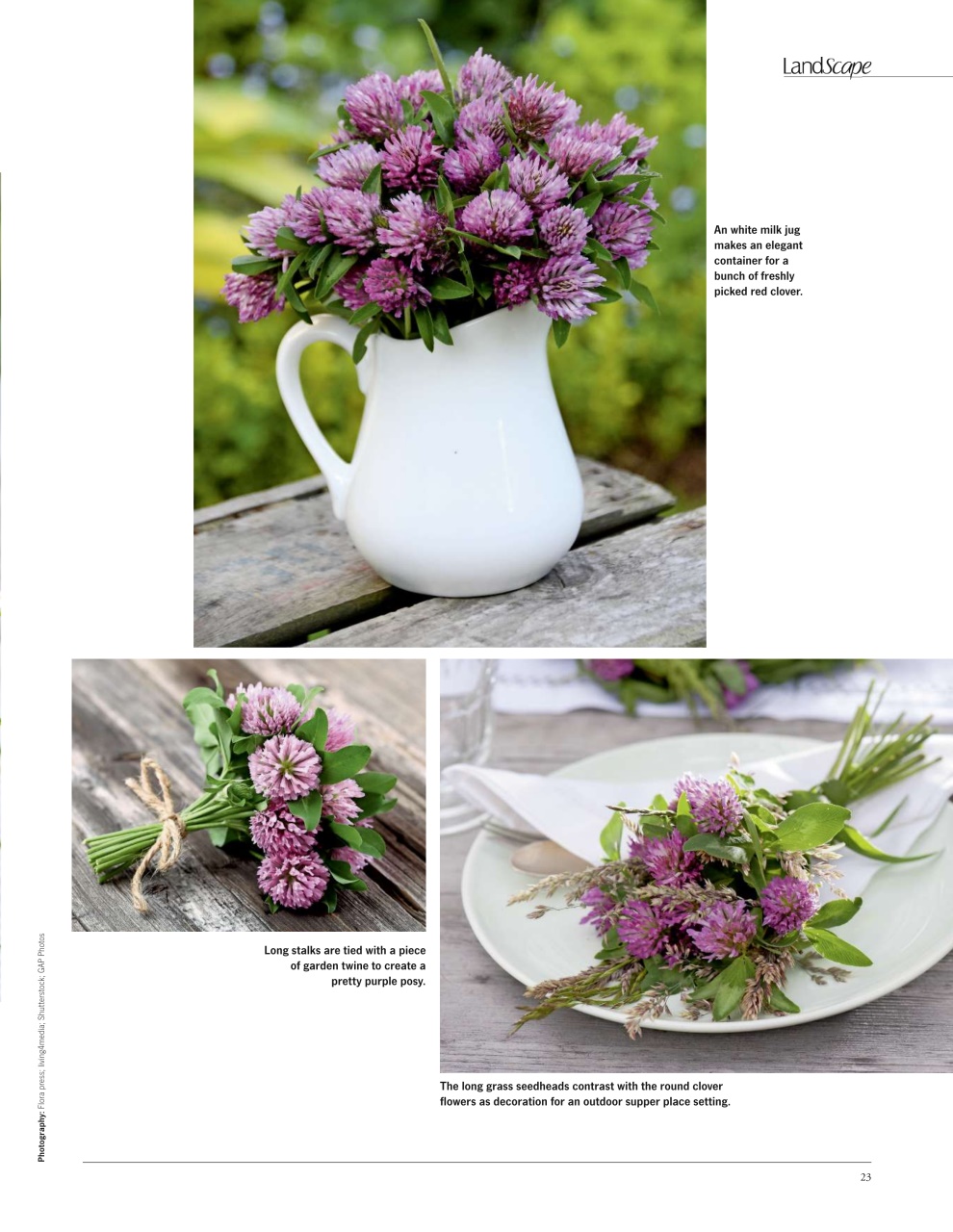 LandScape Preview Pages