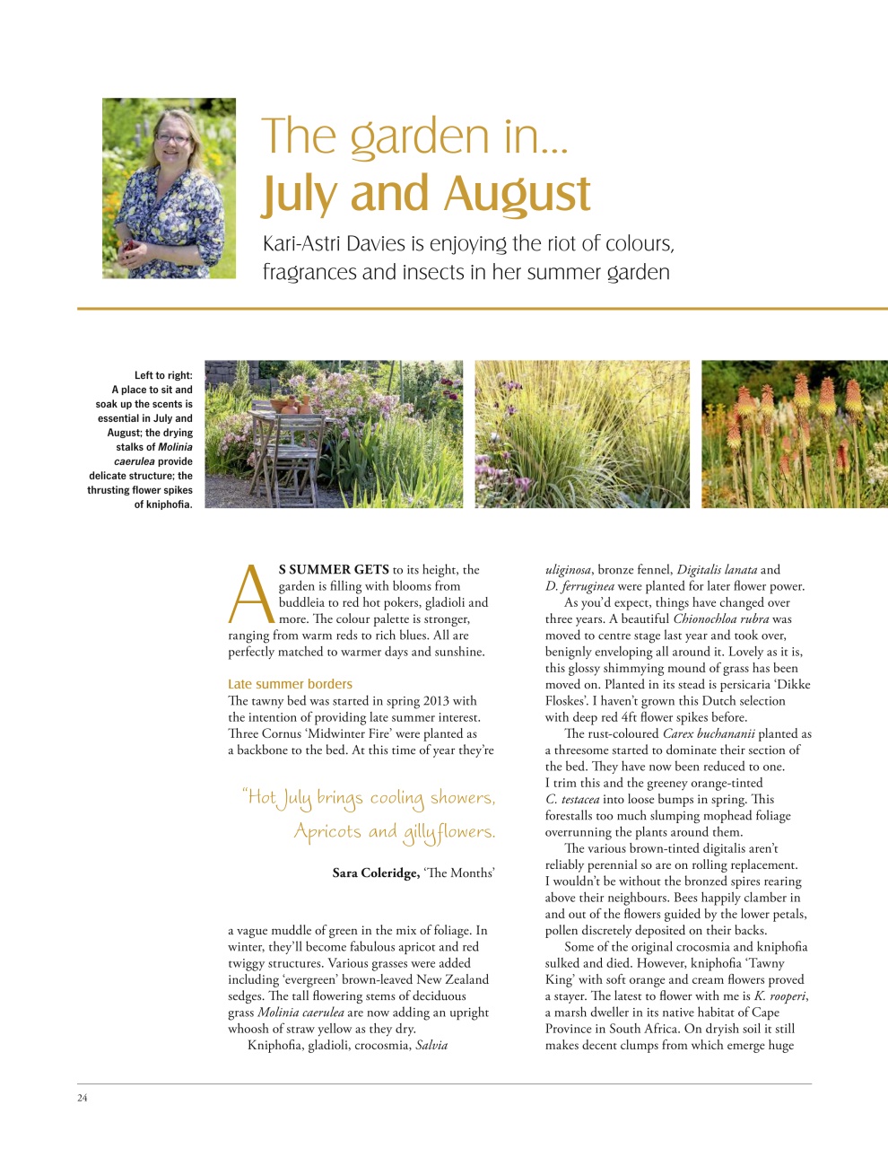 LandScape Preview Pages