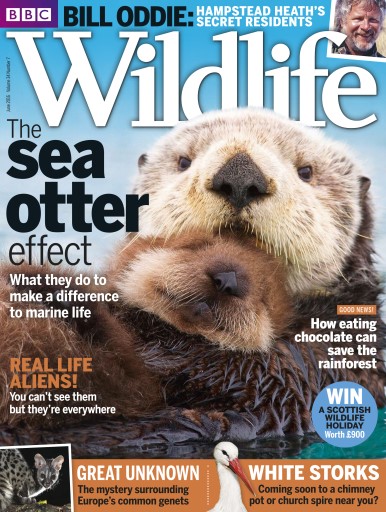 BBC Wildlife Magazine issue 