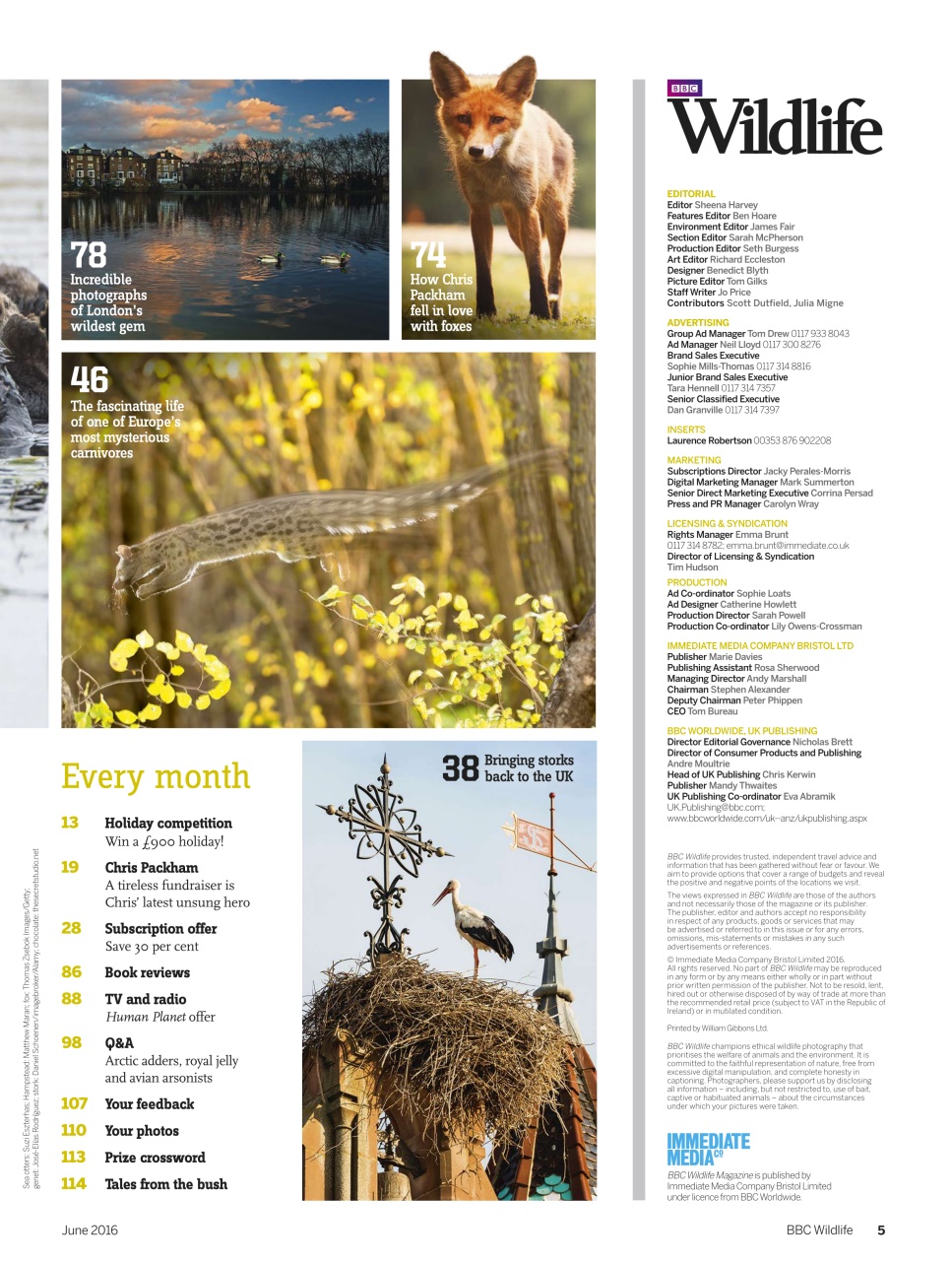 BBC Wildlife Magazine Preview Pages