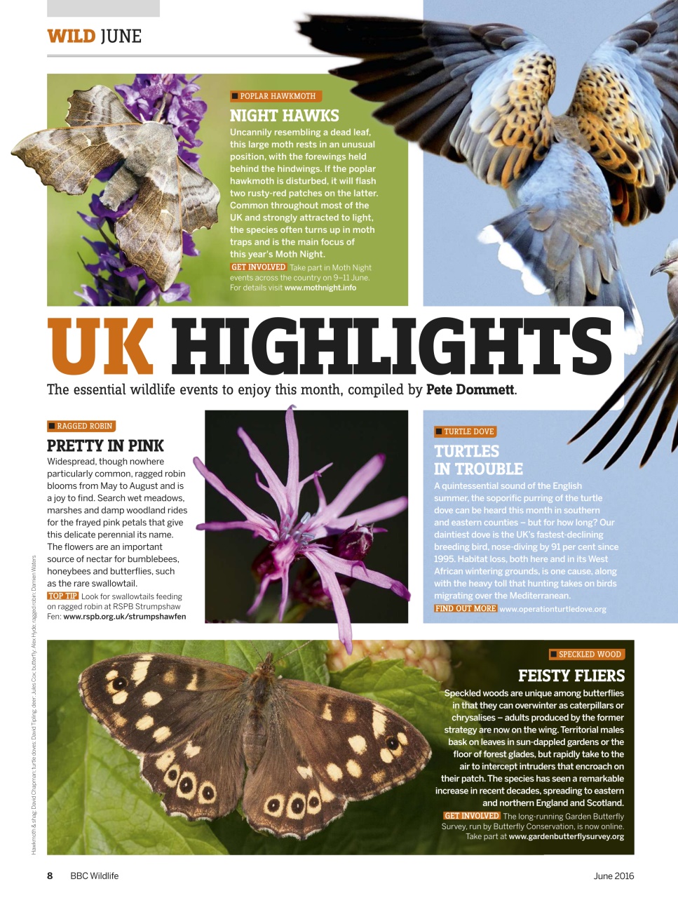 BBC Wildlife Magazine Preview Pages