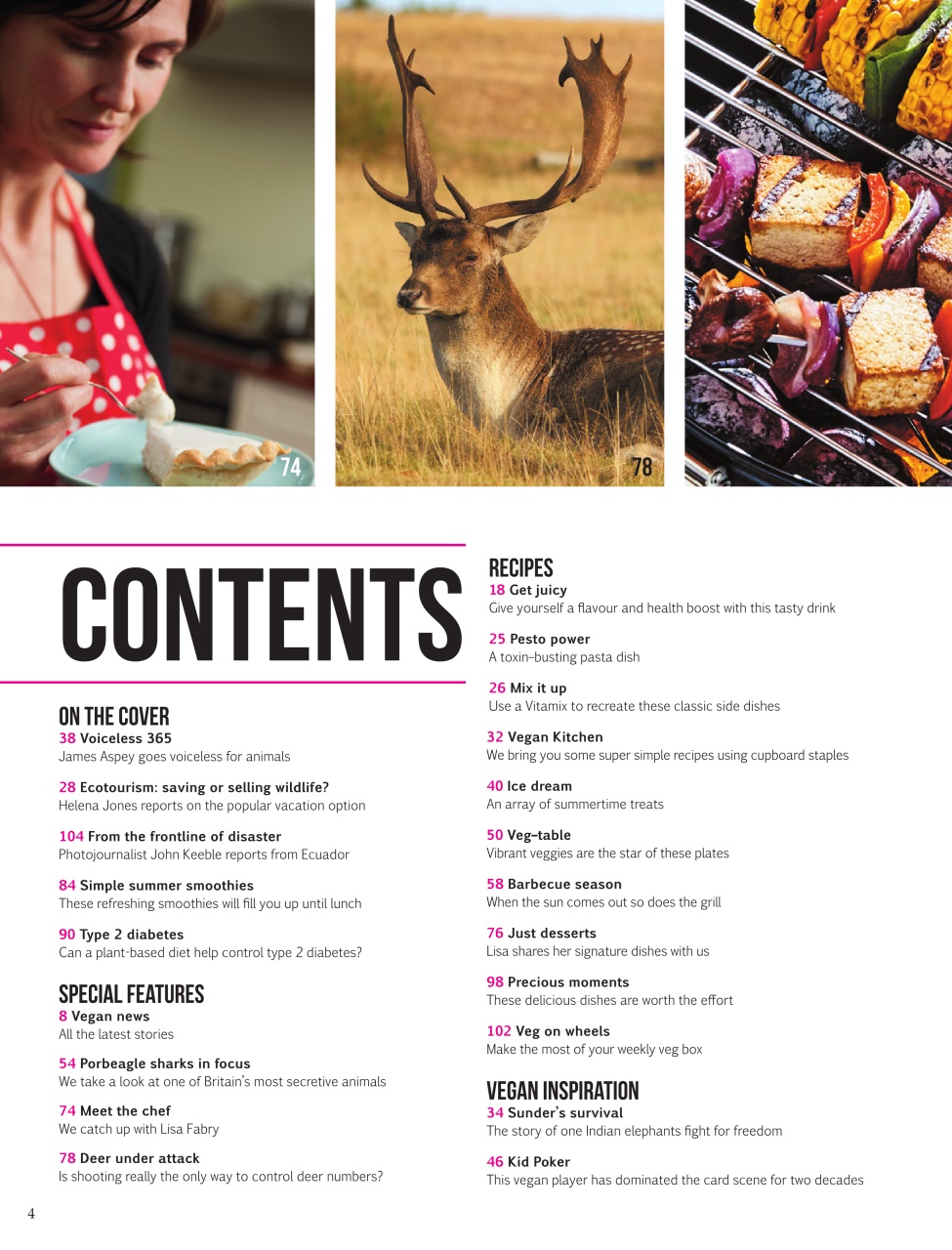Vegan Life Preview Pages