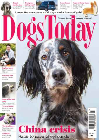 Dogs Today Magazine issue July 2016