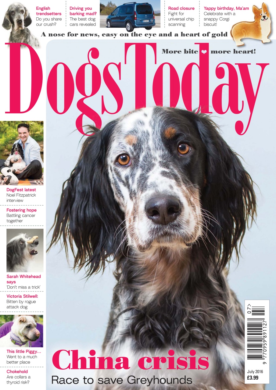 Dogs Today Magazine Preview Pages