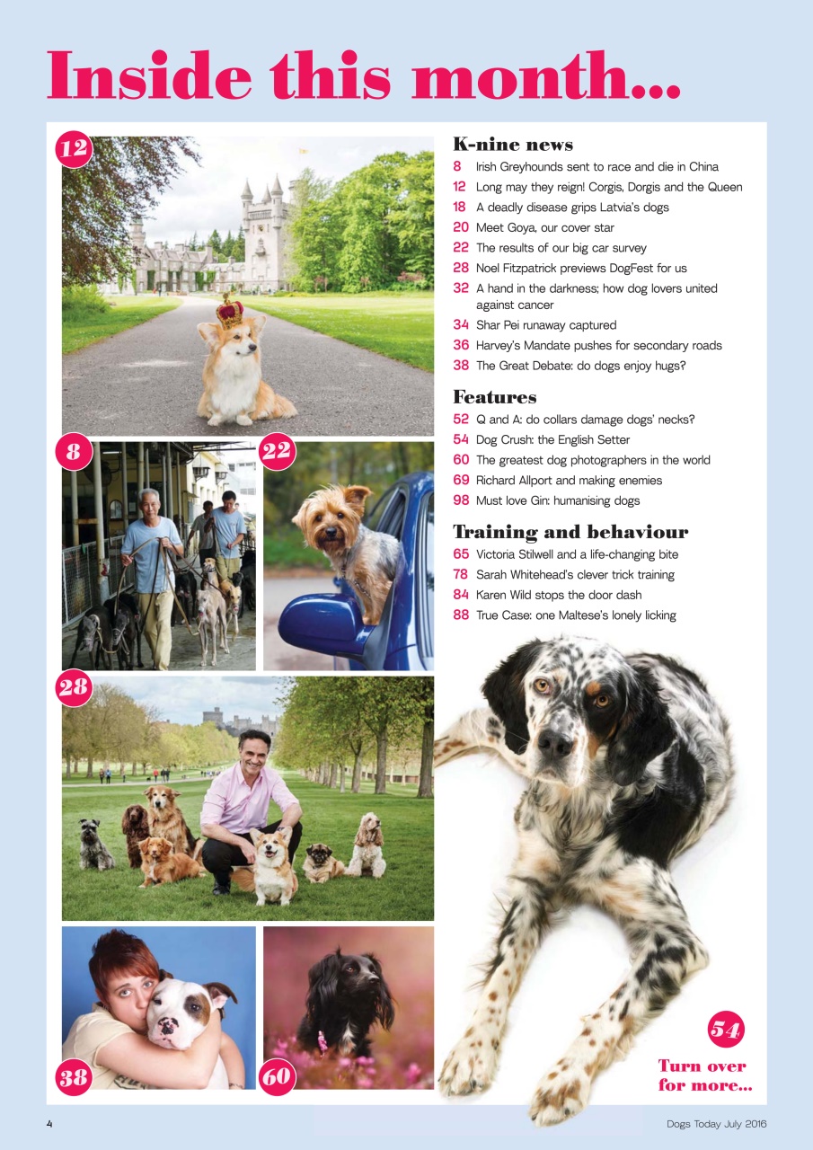 Dogs Today Magazine Preview Pages