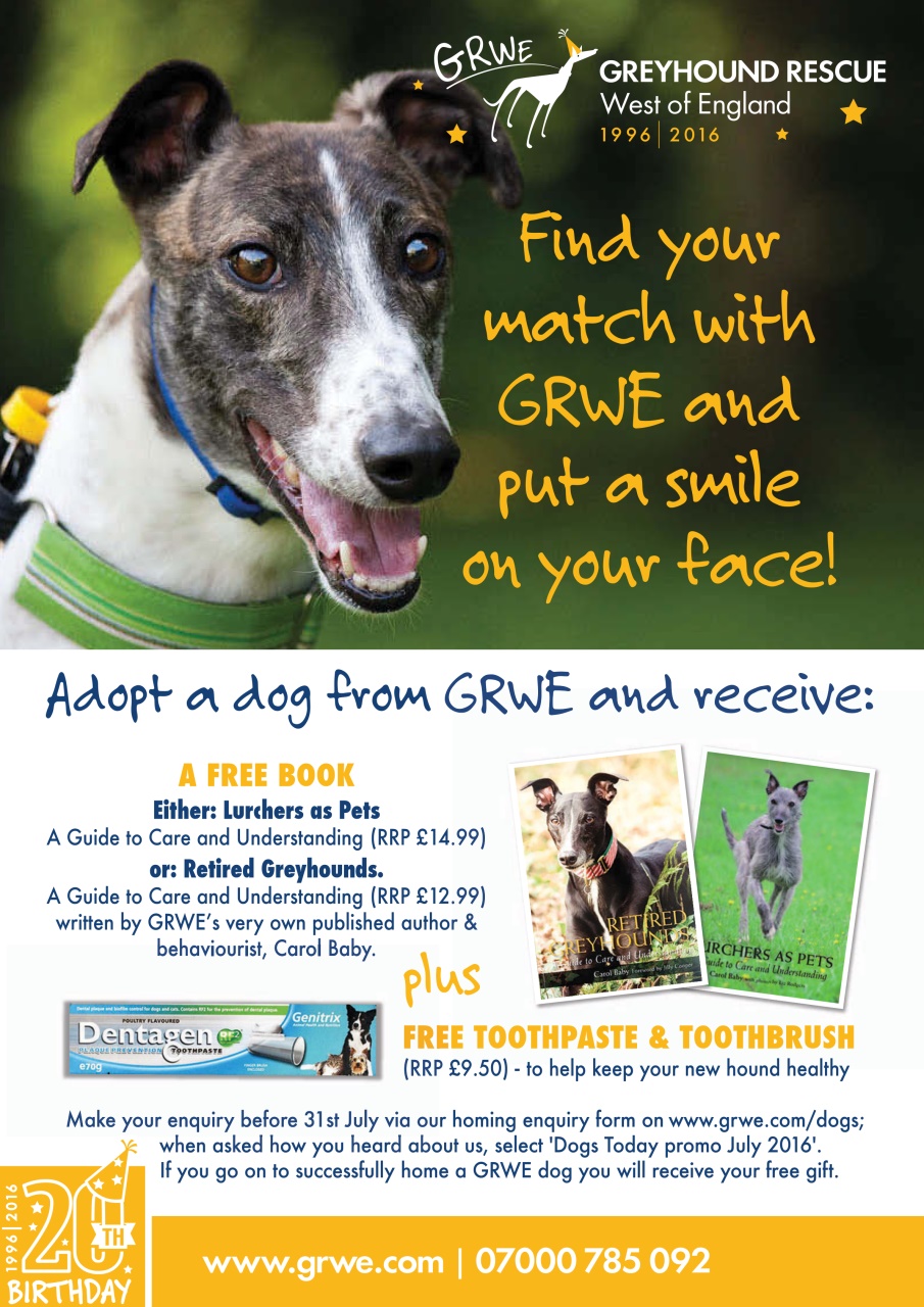 Dogs Today Magazine Preview Pages