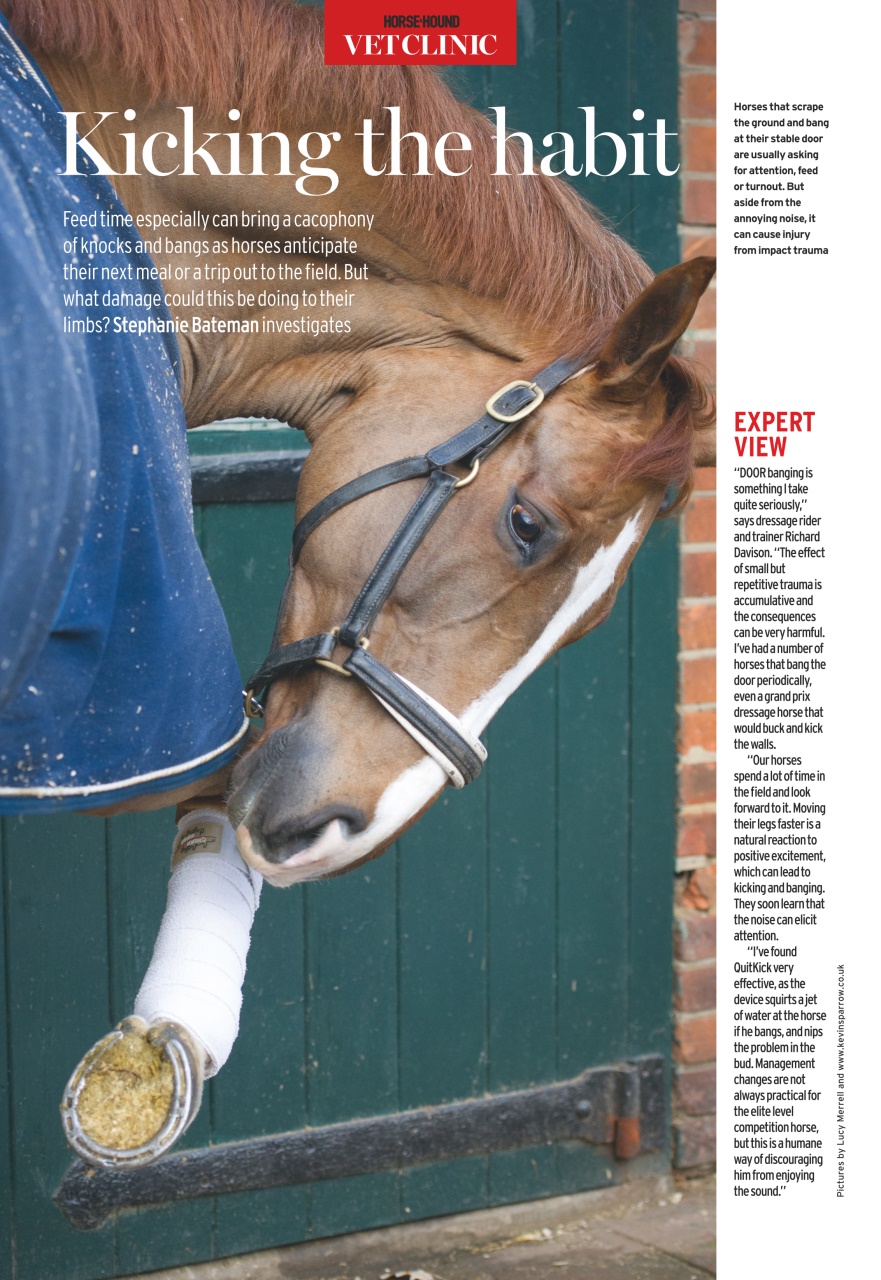 Horse & Hound Preview Pages