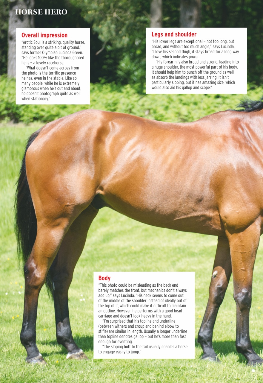 Horse & Hound Preview Pages