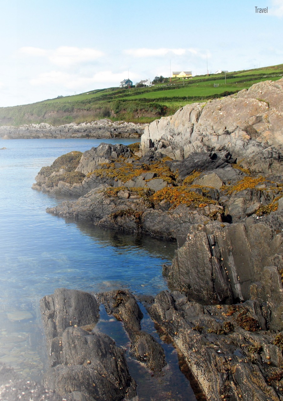 The Celtic Link Preview Pages