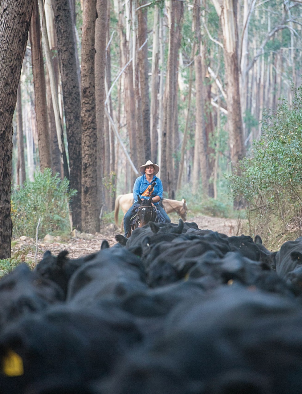 OUTBACK Magazine Preview Pages