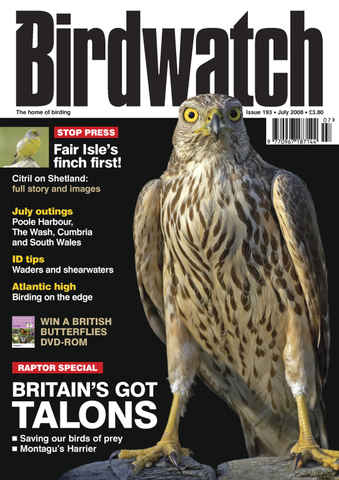 Birdwatch Magazine issue July 2008