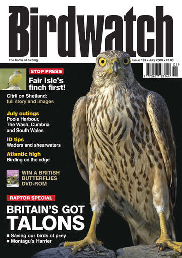 Birdwatch Magazine issue 