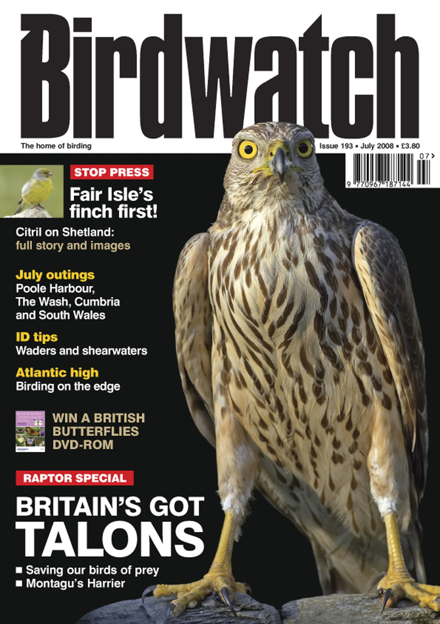 Birdwatch Magazine Preview Pages