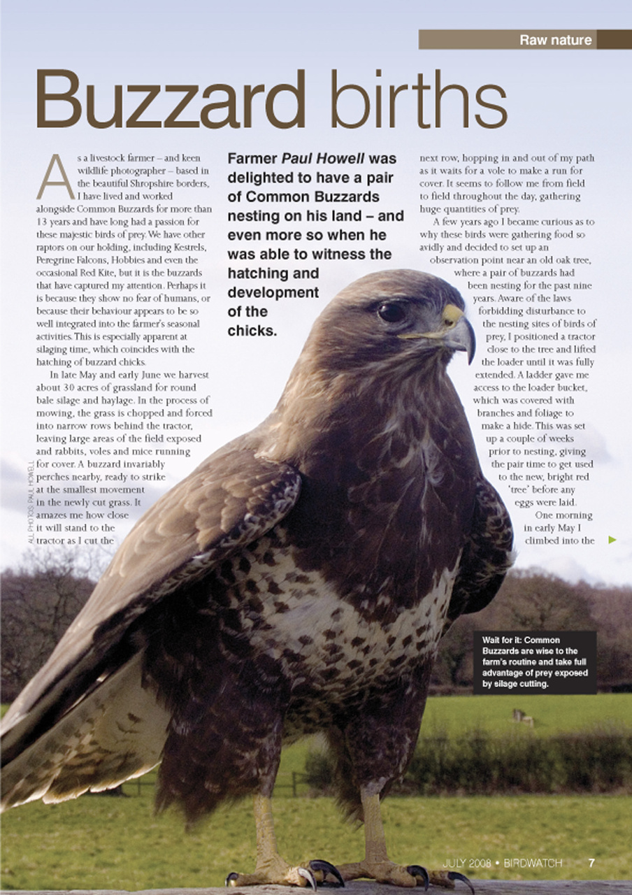Birdwatch Magazine Preview Pages