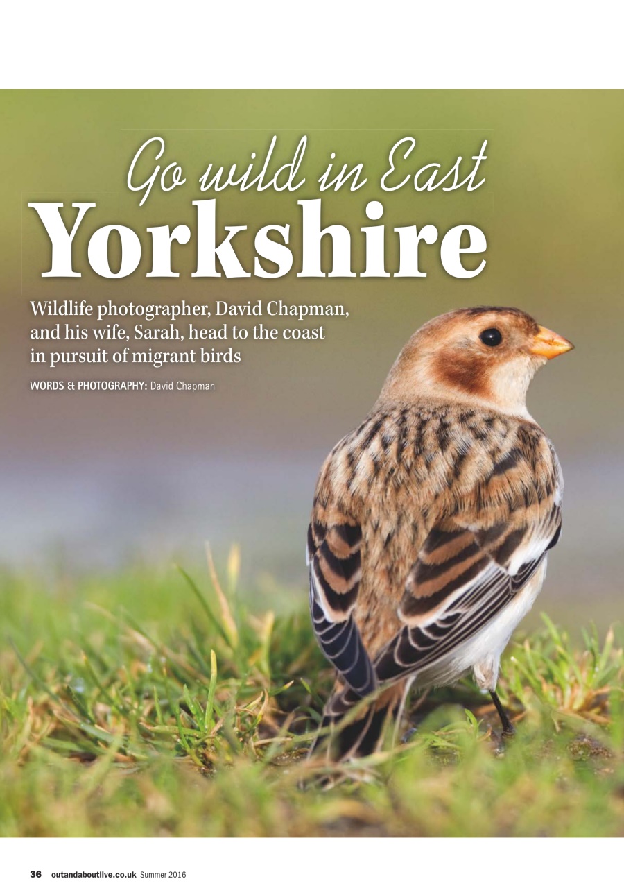 MMM magazine Preview Pages