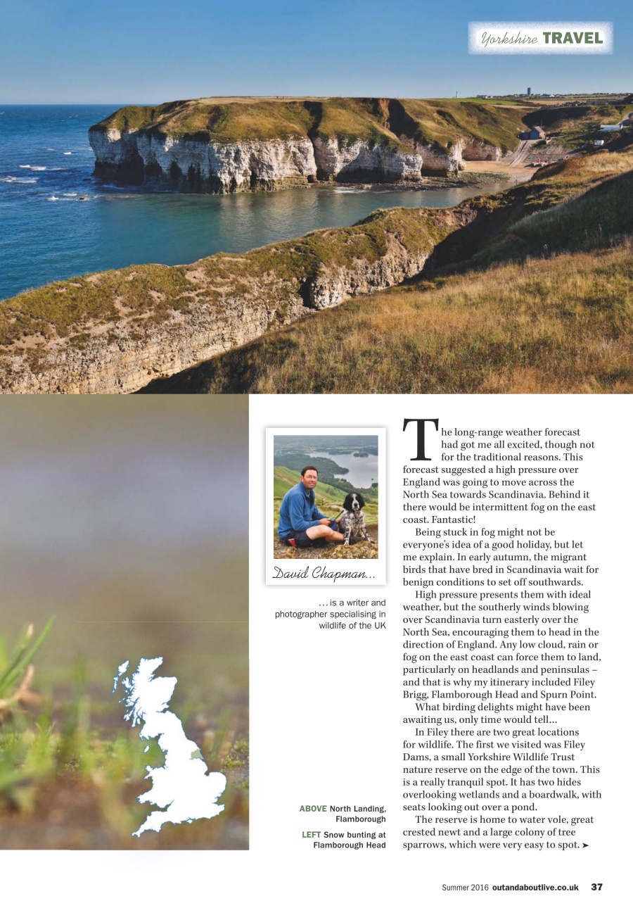 MMM magazine Preview Pages