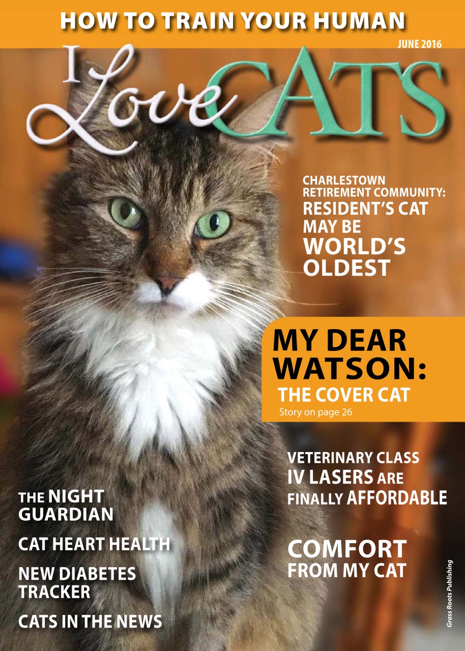 I Love Cats Preview Pages