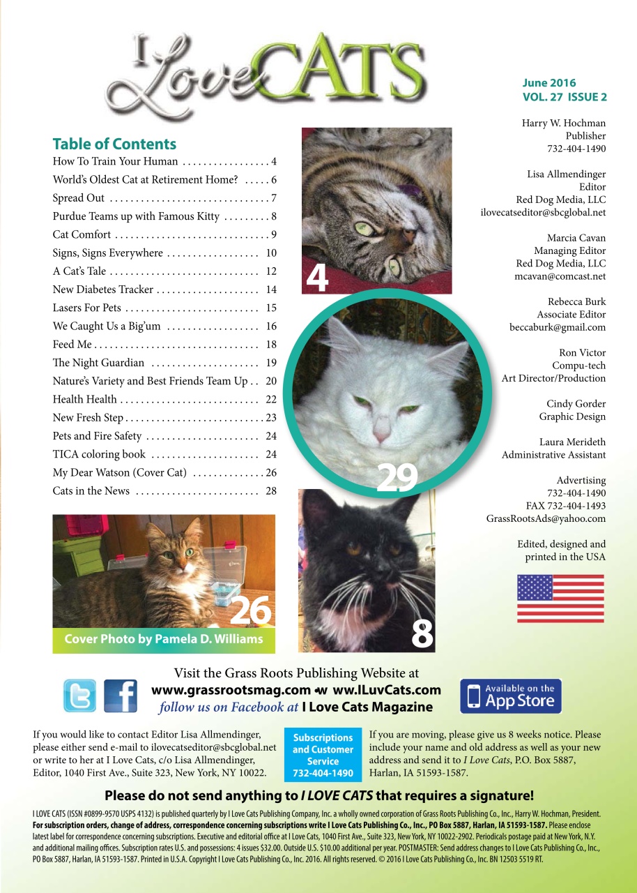 I Love Cats Preview Pages