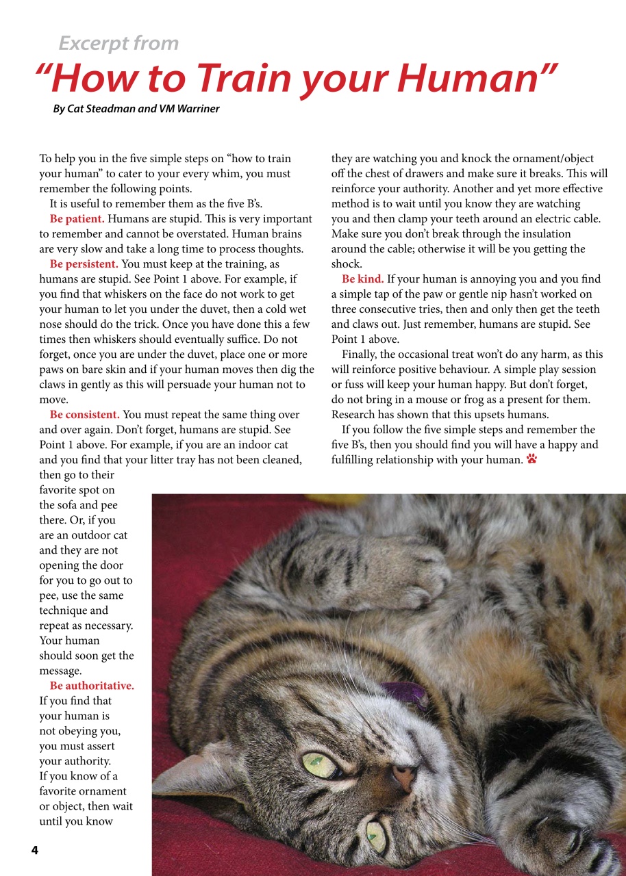 I Love Cats Preview Pages