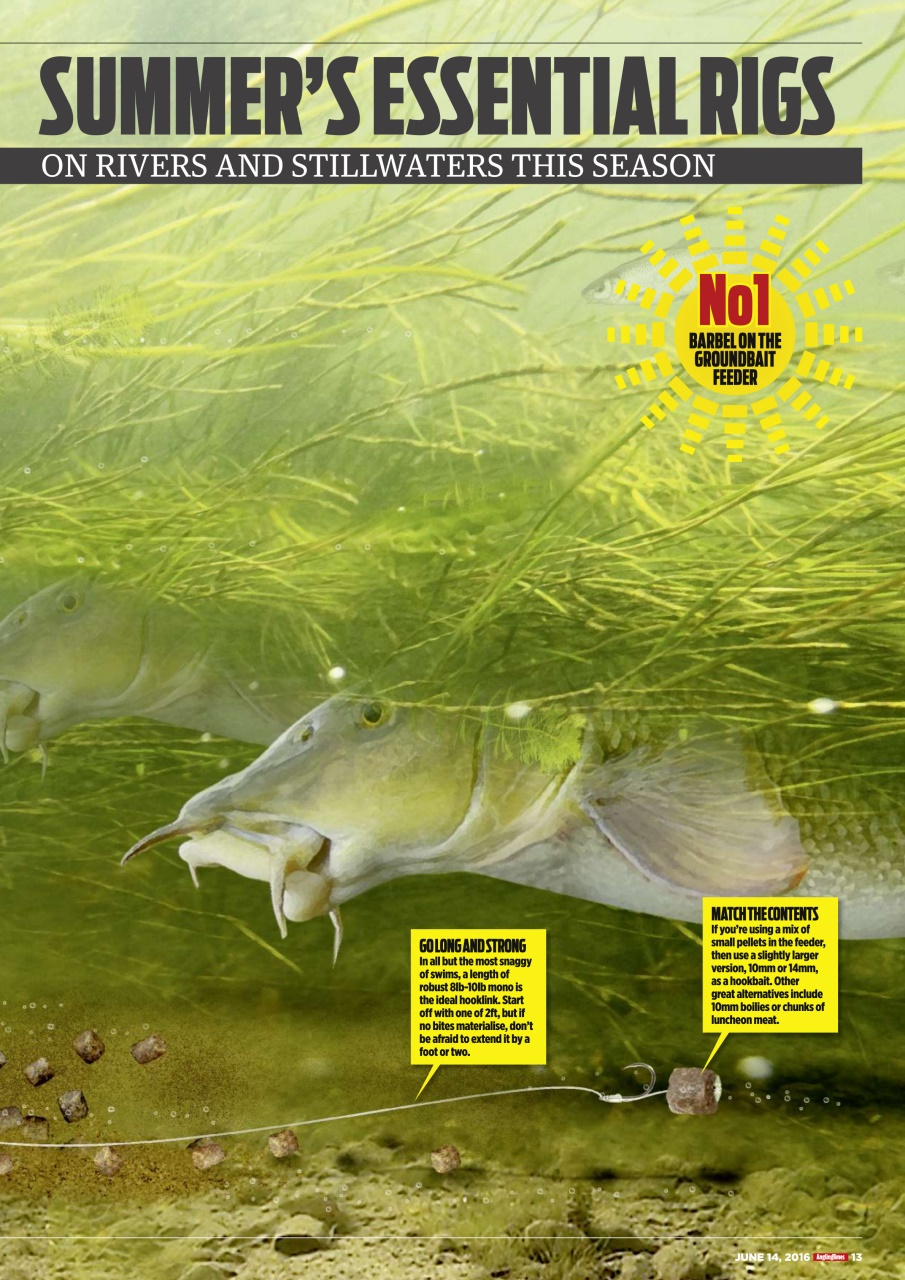 Angling Times Preview Pages