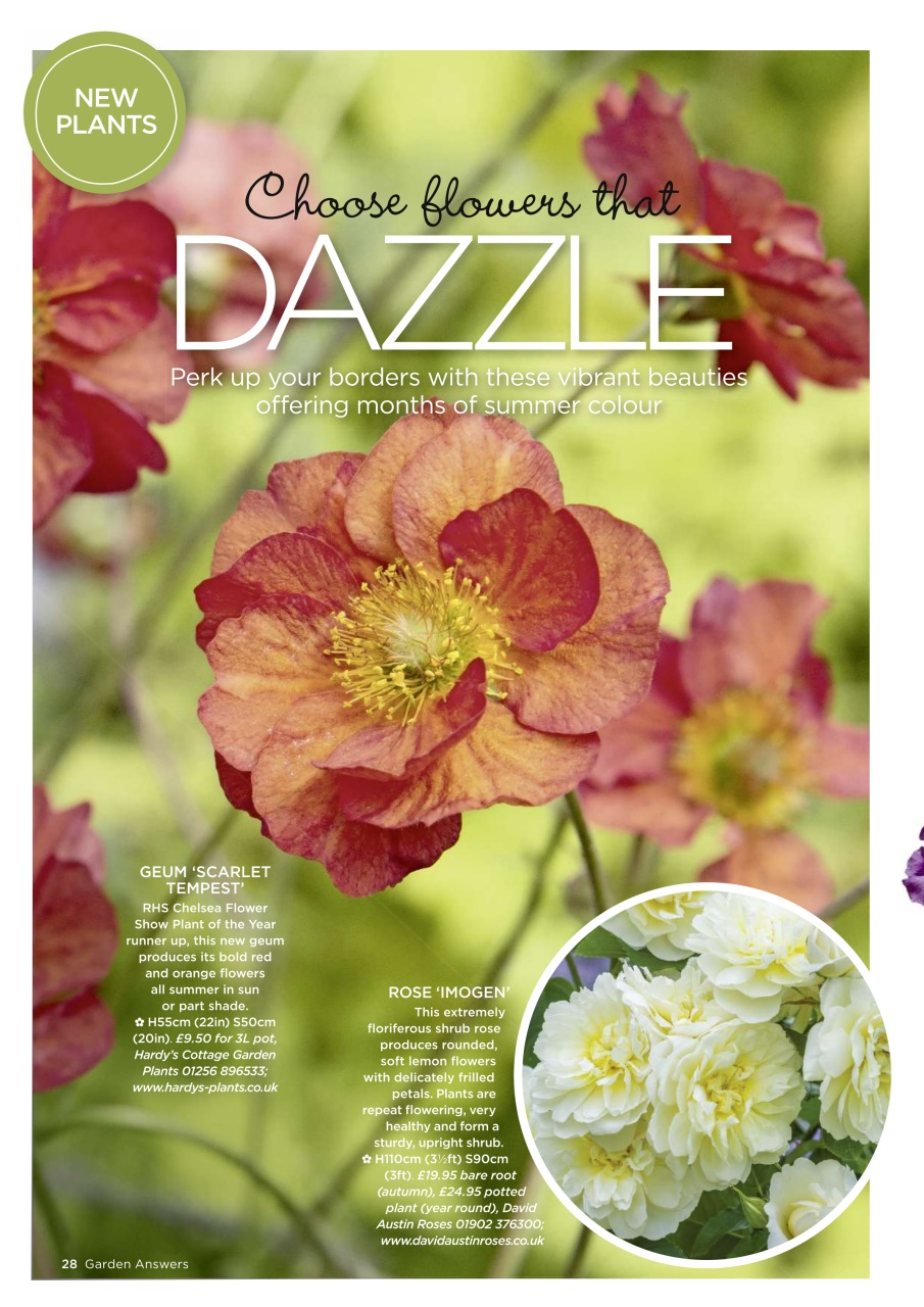 Garden Answers Preview Pages