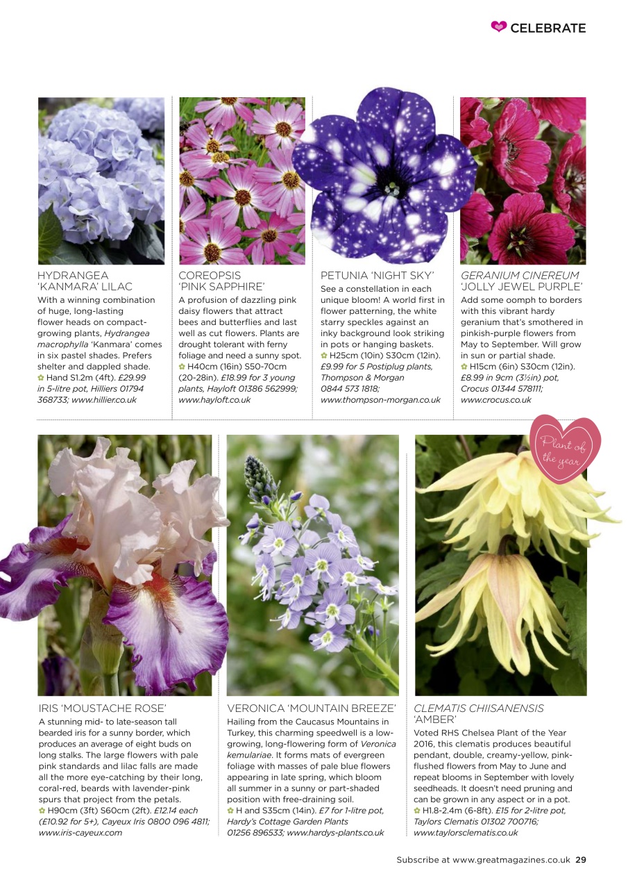 Garden Answers Preview Pages