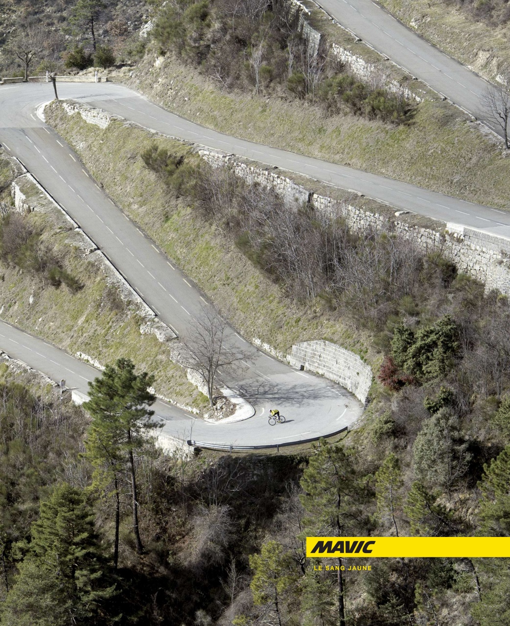 Procycling Preview Pages