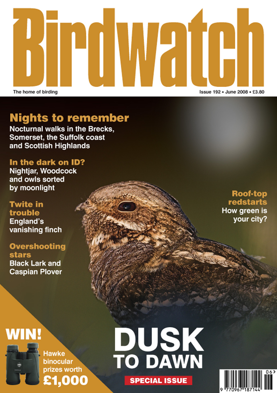 Birdwatch Magazine Preview Pages