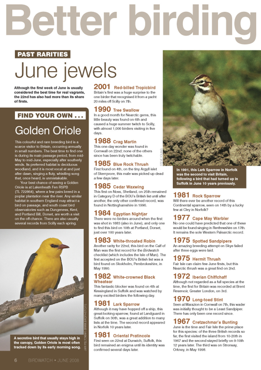 Birdwatch Magazine Preview Pages