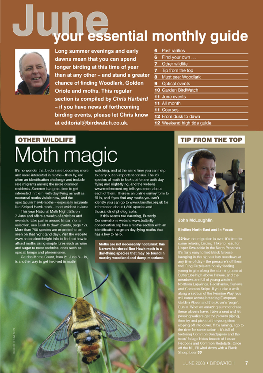 Birdwatch Magazine Preview Pages