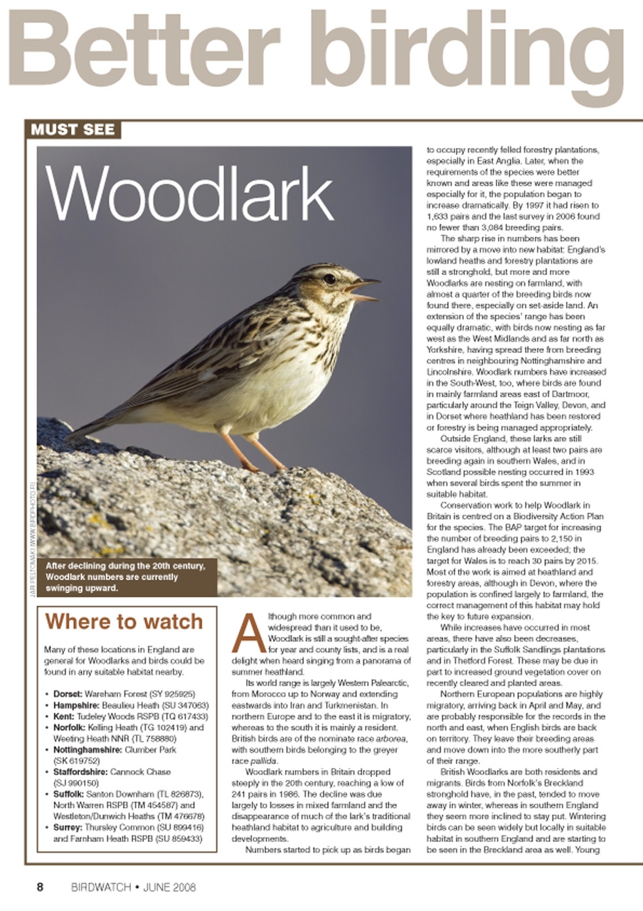 Birdwatch Magazine Preview Pages