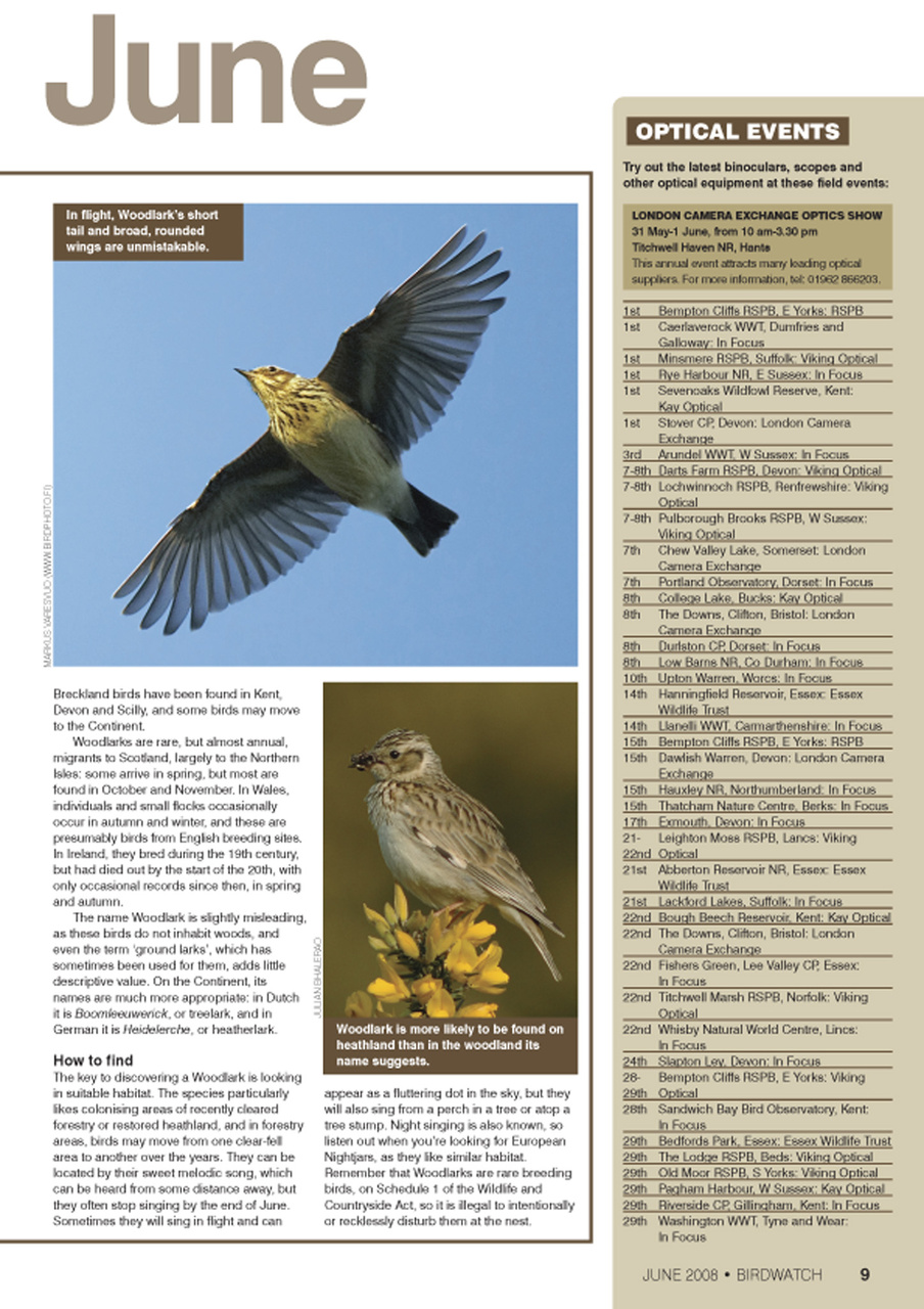 Birdwatch Magazine Preview Pages
