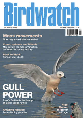 Birdwatch Magazine issue May 2008